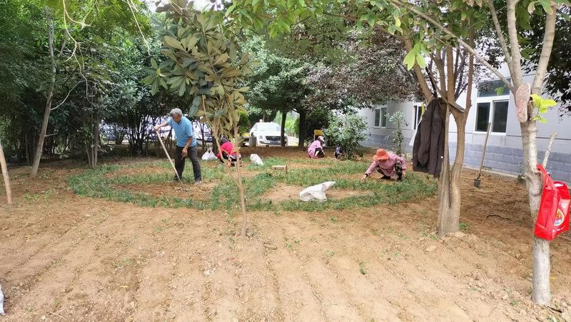 廠區(qū)草坪綠化展示